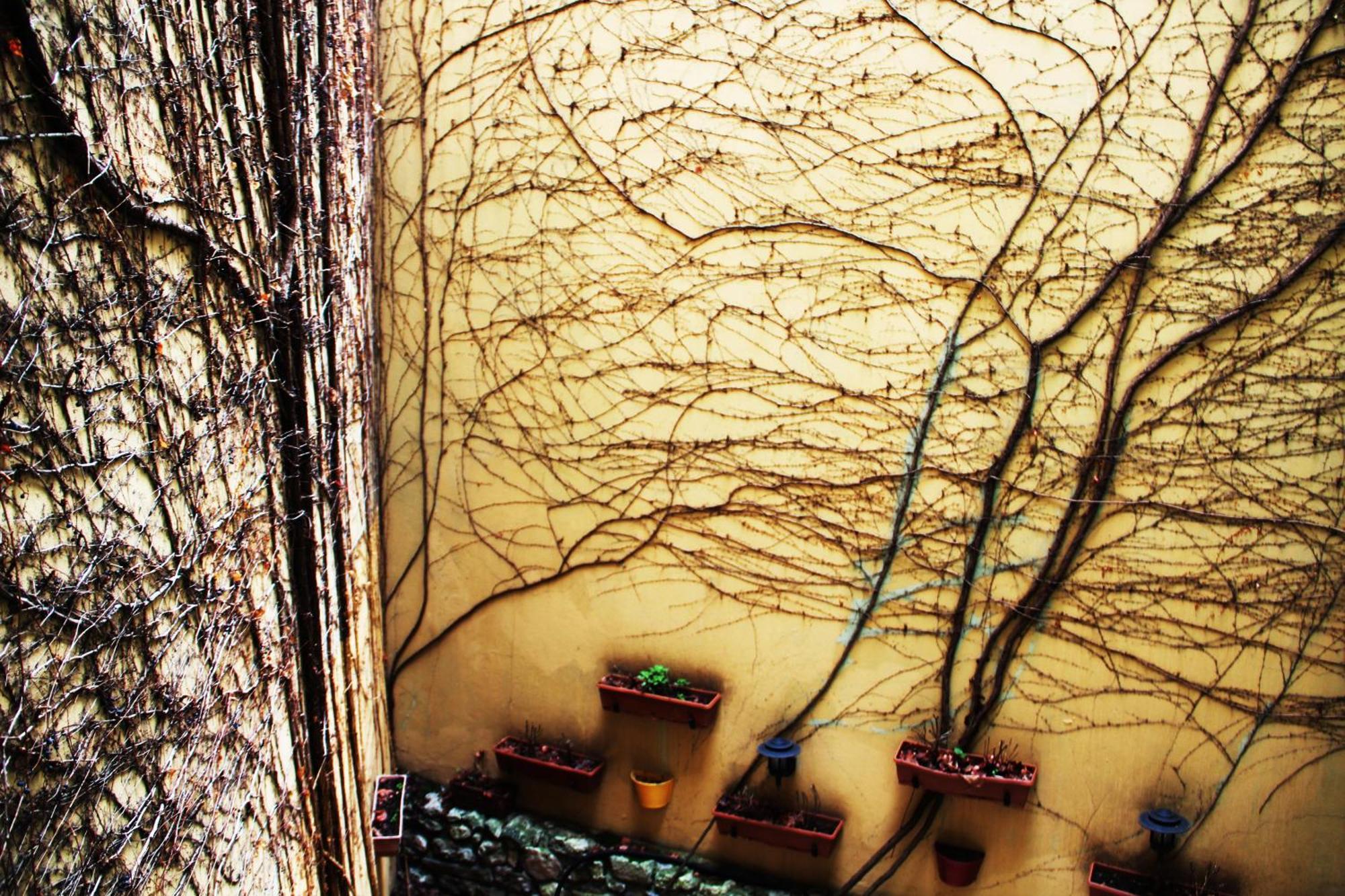 Hotel Erguvan - Special Category Istanbul Exterior photo